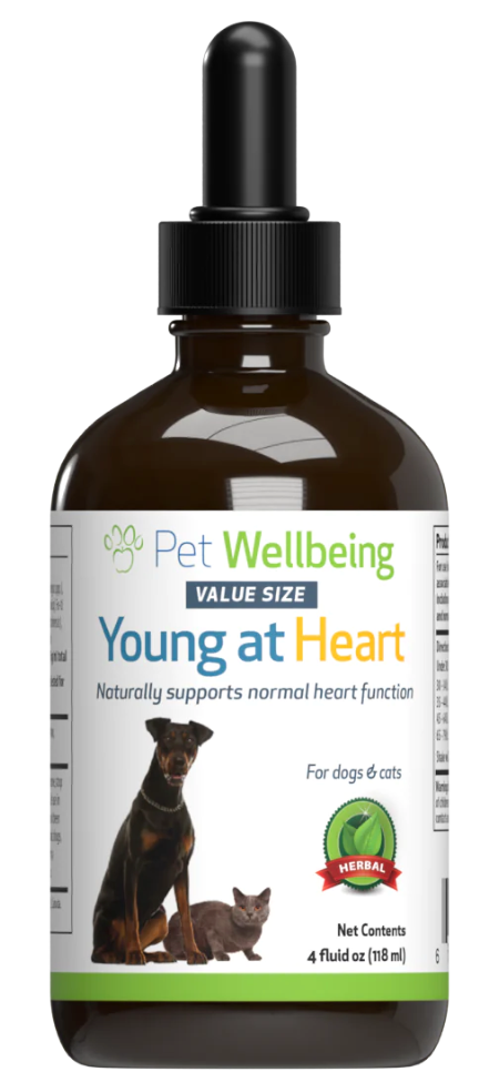 PET WELLBEING YOUNG AT HEART 4OZ - Tail Blazers Etobicoke