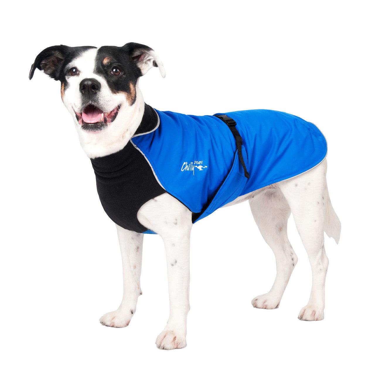 CHILLY DOGS ALPINE BLAZER 21"