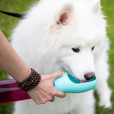 BRB Pets Hydrosmart Pro White Reusable Water Bottle Bowl - Tail Blazers Etobicoke