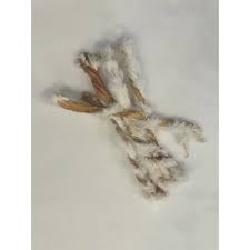 Grand Valley Quail Pet Treats Rabbit Hide Twist (1pc)