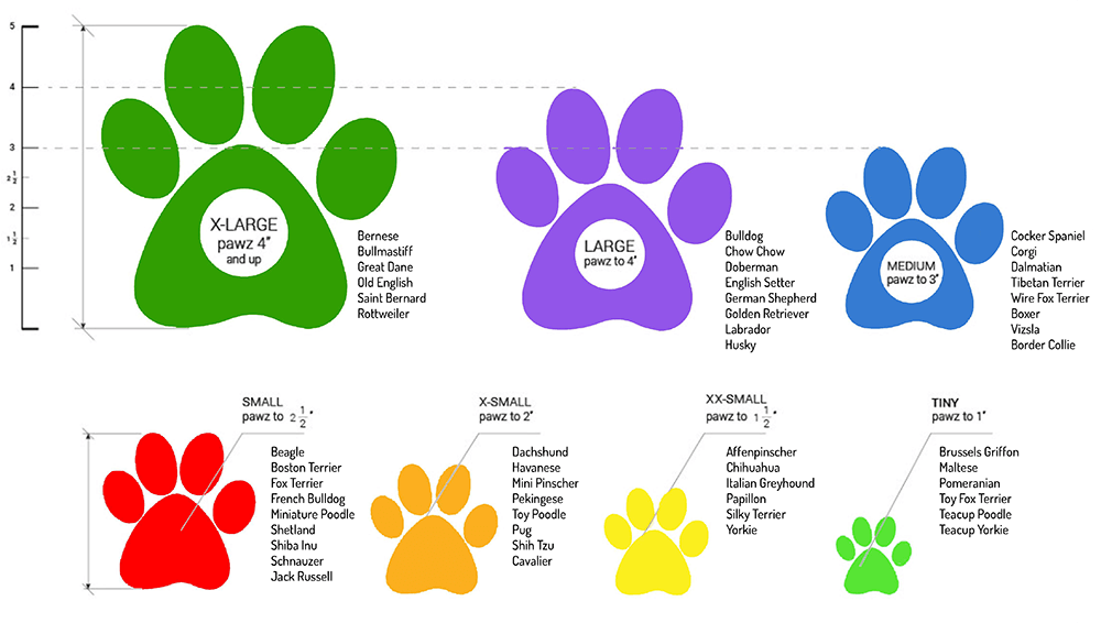 PAWZ DISPOSABLE DOG BOOTS XLG