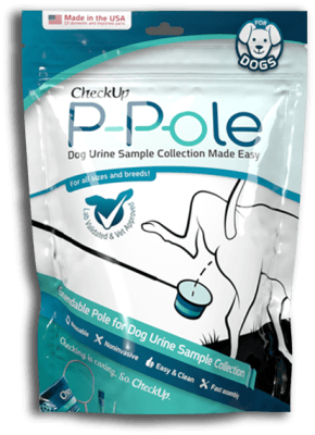 CheckUp P-Pole Dog Urination Collection Kit