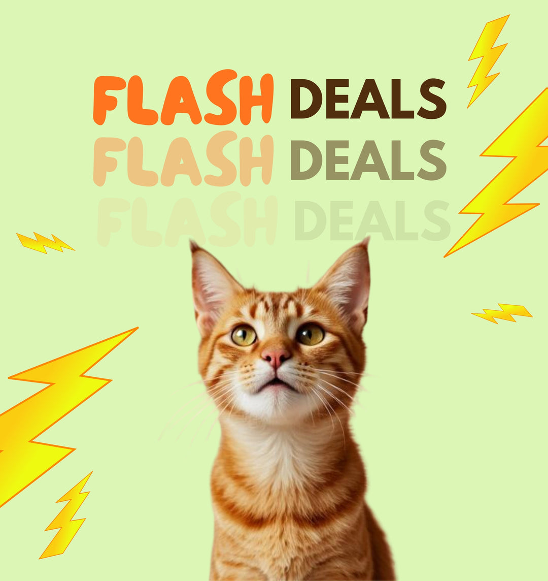 Flash Deal