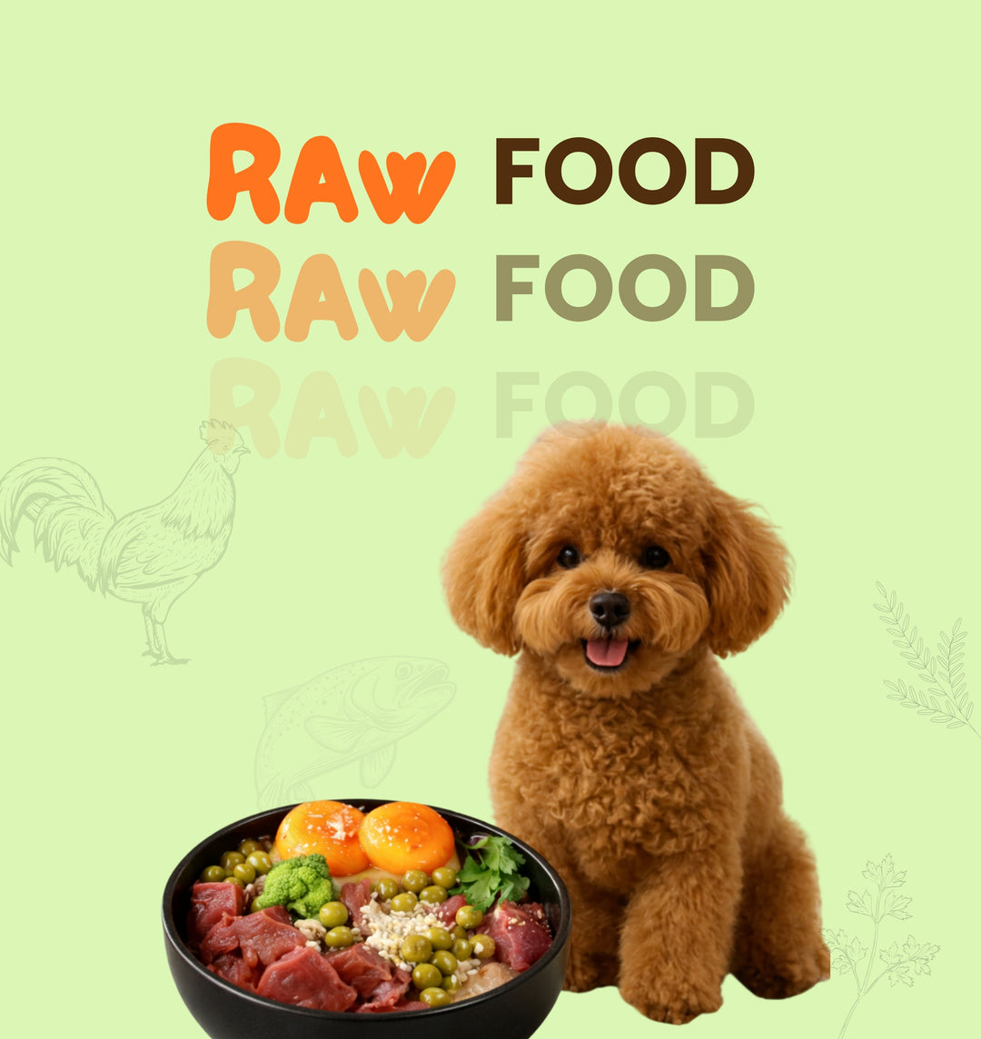 Dog Raw Food