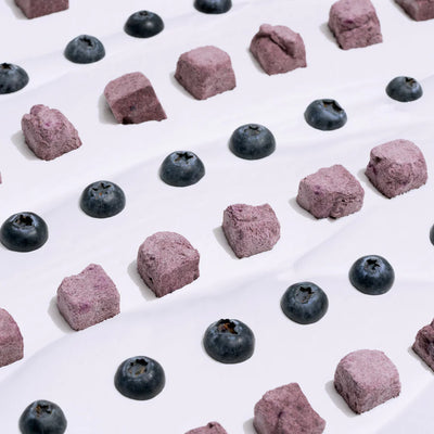 Wagging Bum ANYTIME YOGURT! Freeze-dried Yogurt with Blueberry - Tail Blazers Etobicoke