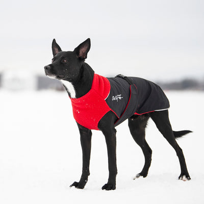 CHILLY DOGS GWN LONG/LEAN COAT 24" - Tail Blazers Etobicoke