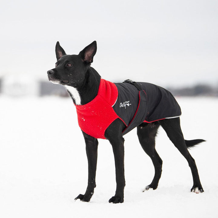 CHILLY DOGS GWN ALL BREED COAT 12" - Tail Blazers Etobicoke