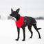CHILLY DOGS GWN LONG/LEAN COAT 10" - Tail Blazers Etobicoke