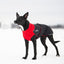 CHILLY DOGS GWN BROAD/BURLY COAT 17" - Tail Blazers Etobicoke