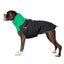 CHILLY DOGS GWN LONG/LEAN COAT 25" - Tail Blazers Etobicoke