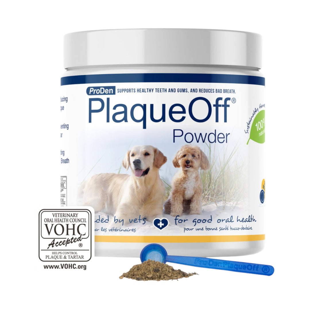 Plaque-Off Powder (420g)