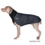 CHILLY DOGS GWN LONG/LEAN COAT 25" - Tail Blazers Etobicoke