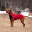 CHILLY DOGS ALPINE BLAZER LONG/LN 15" - Tail Blazers Etobicoke