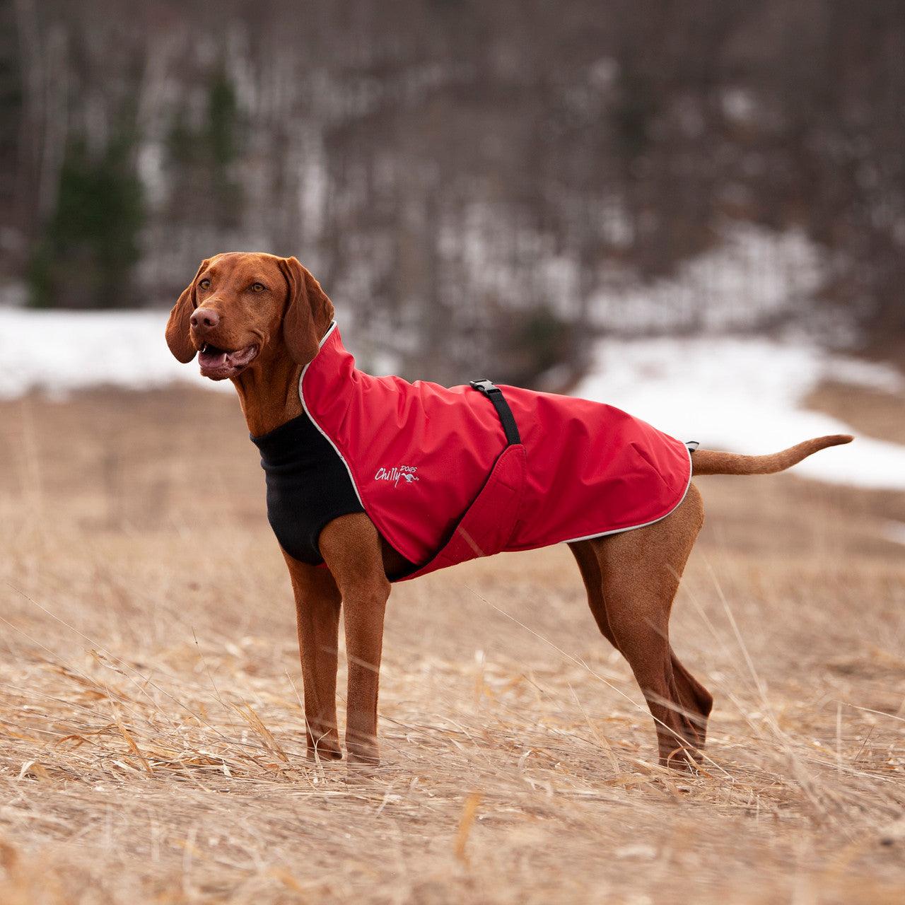 CHILLY DOGS ALPINE BLAZER LONG/LN 21" - Tail Blazers Etobicoke