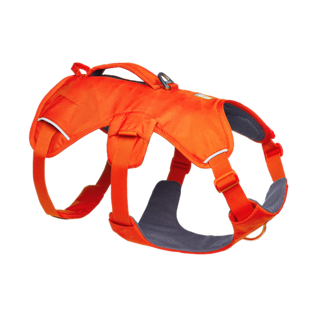 Ruffwear Web Master Harness L