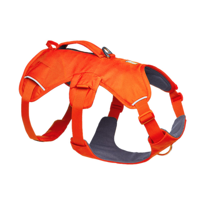 Ruffwear Web Master Harness L