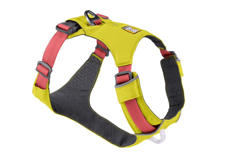 RW HI & LIGHT HARNESS LG/XLG - Tail Blazers Etobicoke