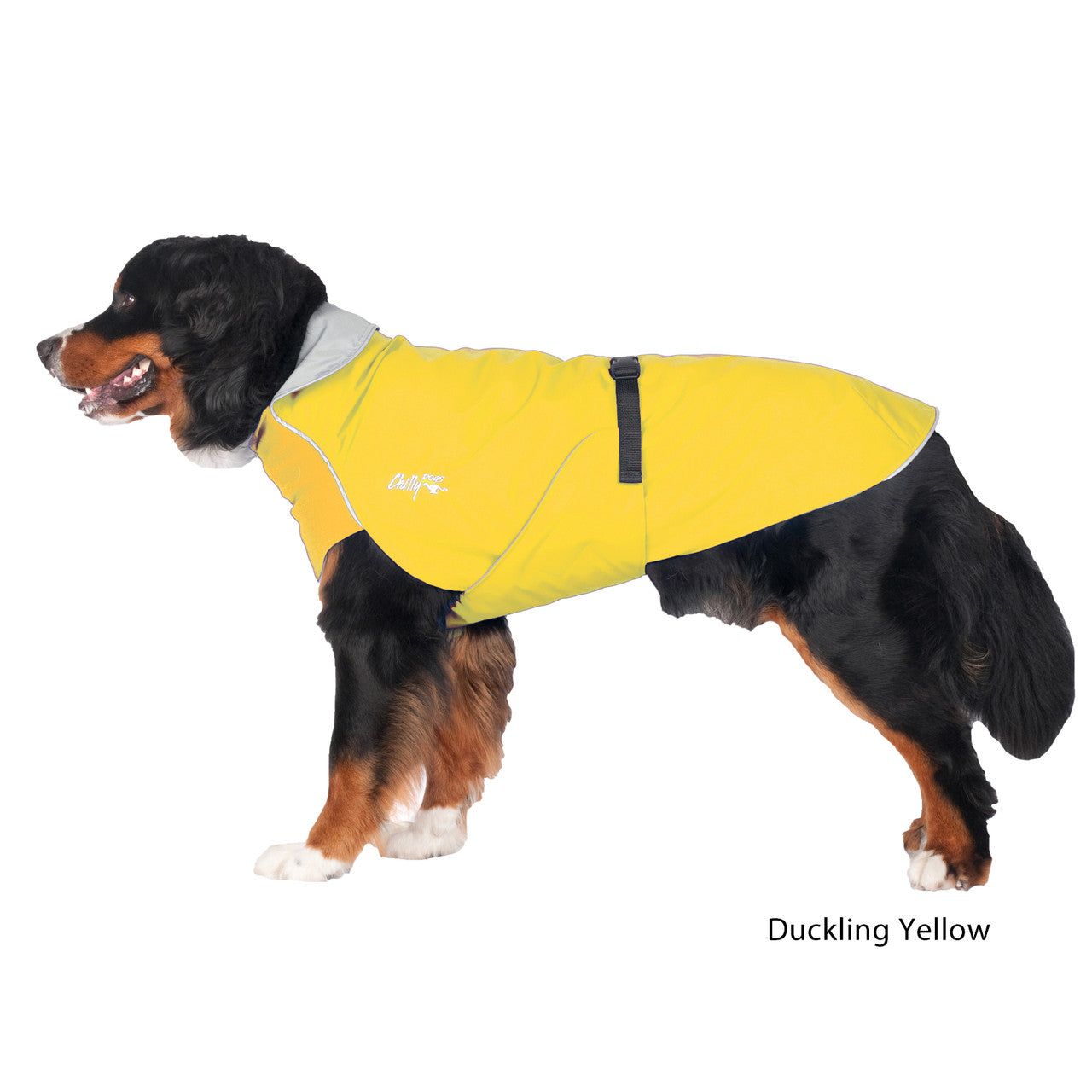 Chilly Dogs Long & Lean Harbor Slicker Raincoat (size 23 to 33) - Tail Blazers Etobicoke