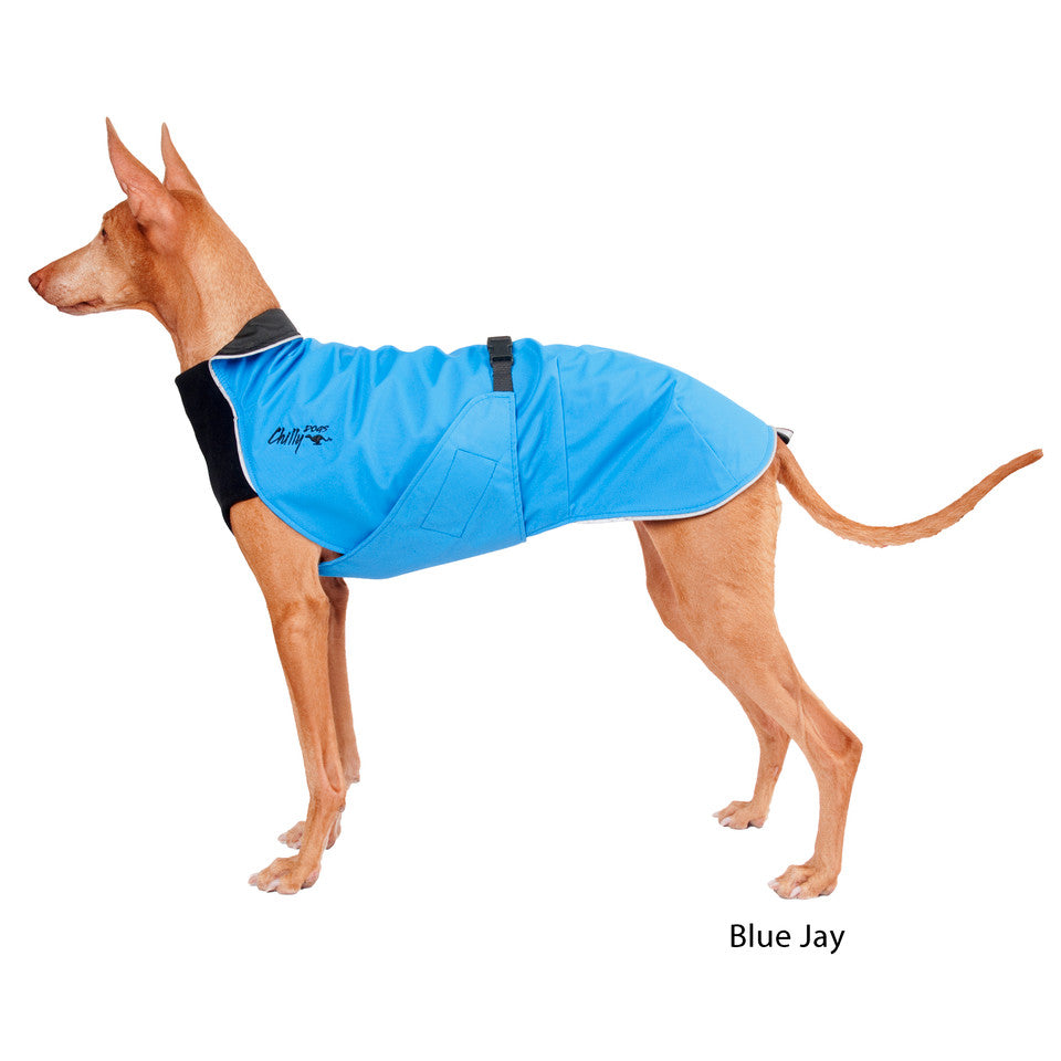 Chilly Dogs Long & Lean Harbor Slicker Raincoat (size 23 to 33) - Tail Blazers Etobicoke