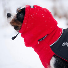 CHILLY DOGS HEAD MUFFS LG - Tail Blazers Etobicoke