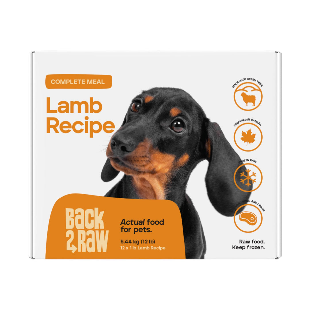 Back2Raw Dog Complete Lamb Recipe (12lb)