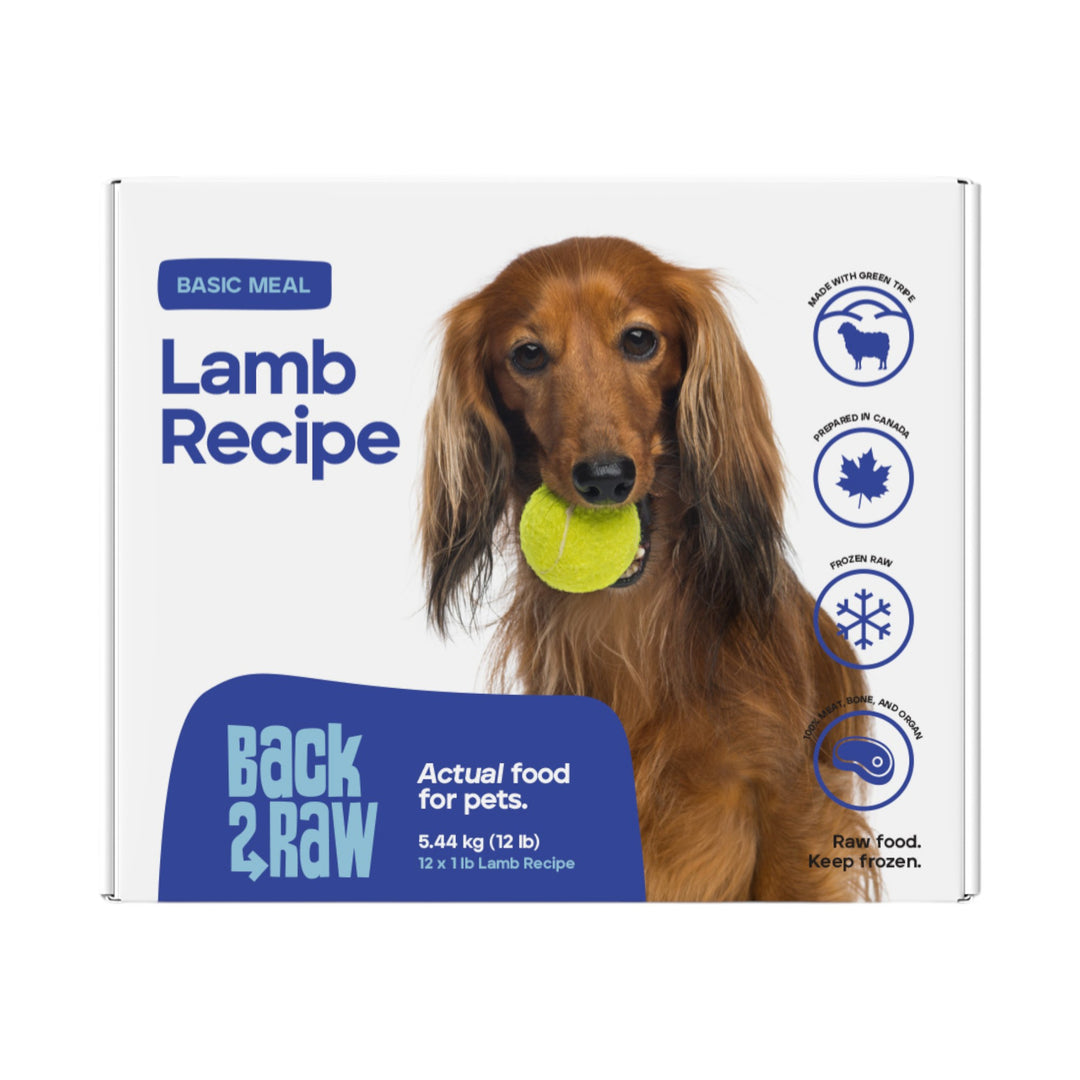 Back2Raw Dog Basic Lamb Recipe (12lb)