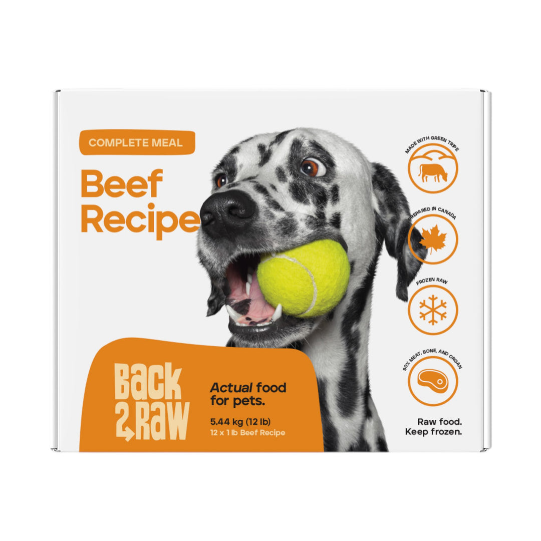 Back2Raw Dog Complete Beef Recipe (12lb)