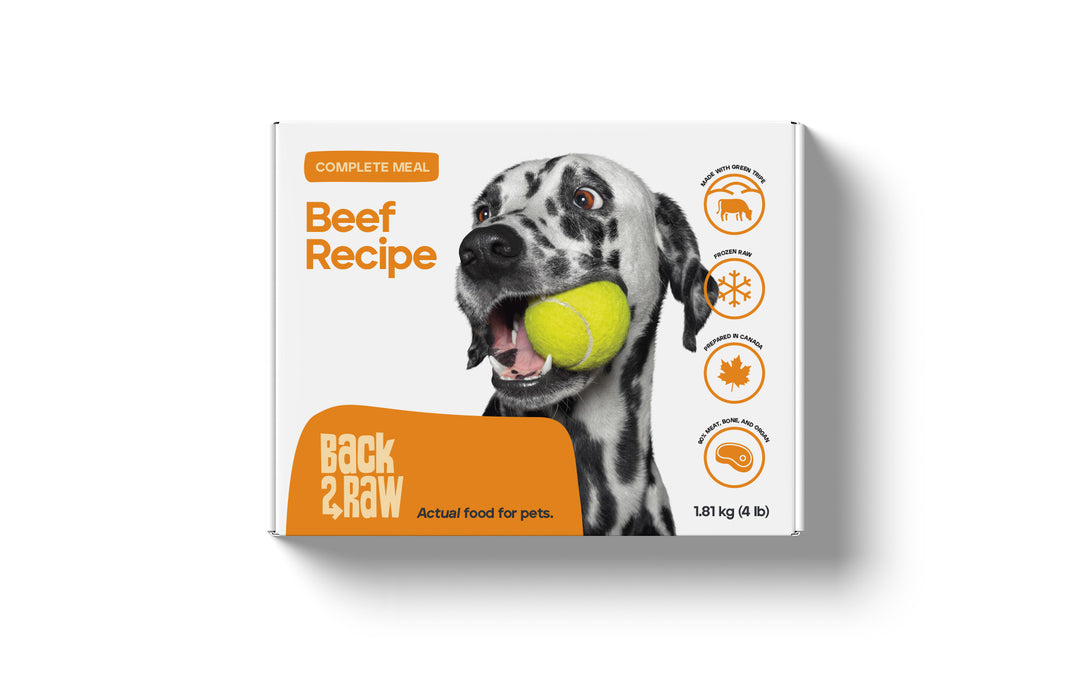 Back2Raw Dog Beef Complete Recipe (4lb)