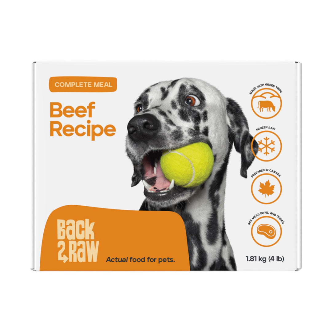 Back2Raw Dog Beef Complete Recipe (4lb)