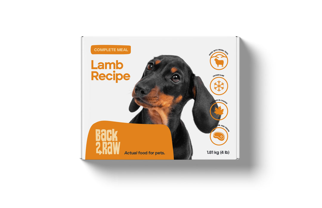 Back2Raw Dog Complete Lamb Recipe (4lb)