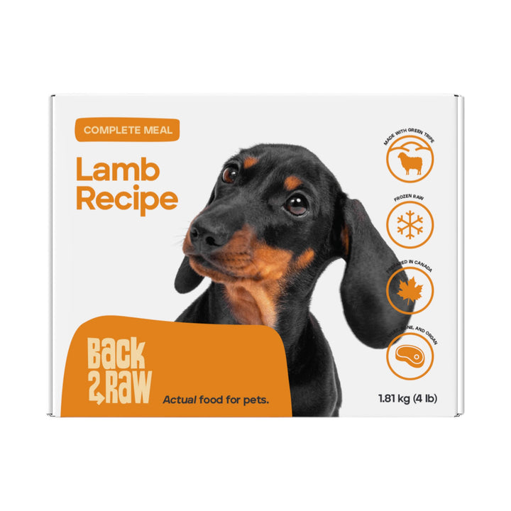 Back2Raw Dog Complete Lamb Recipe (4lb)