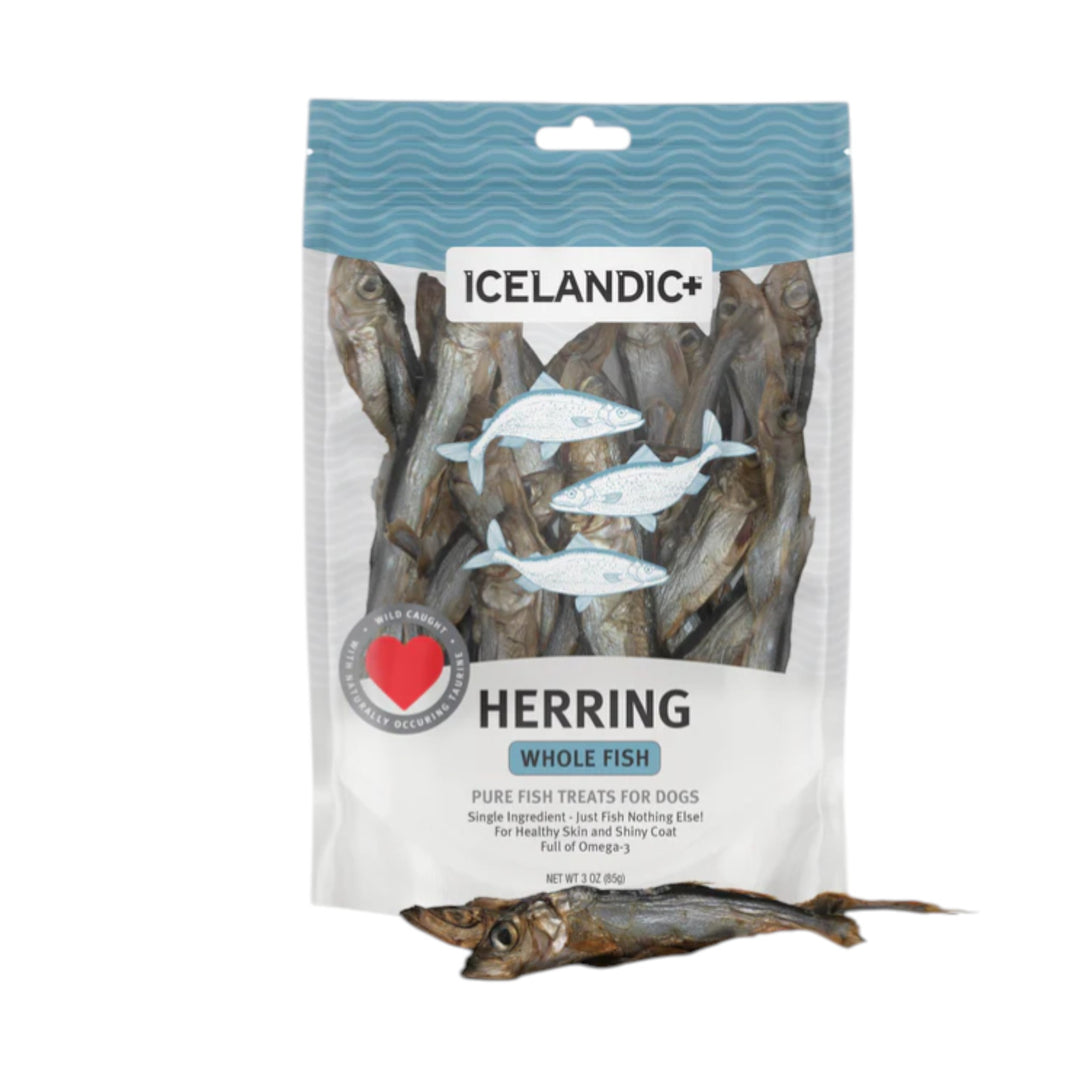Icelandic Herring Whole Dog (3oz)
