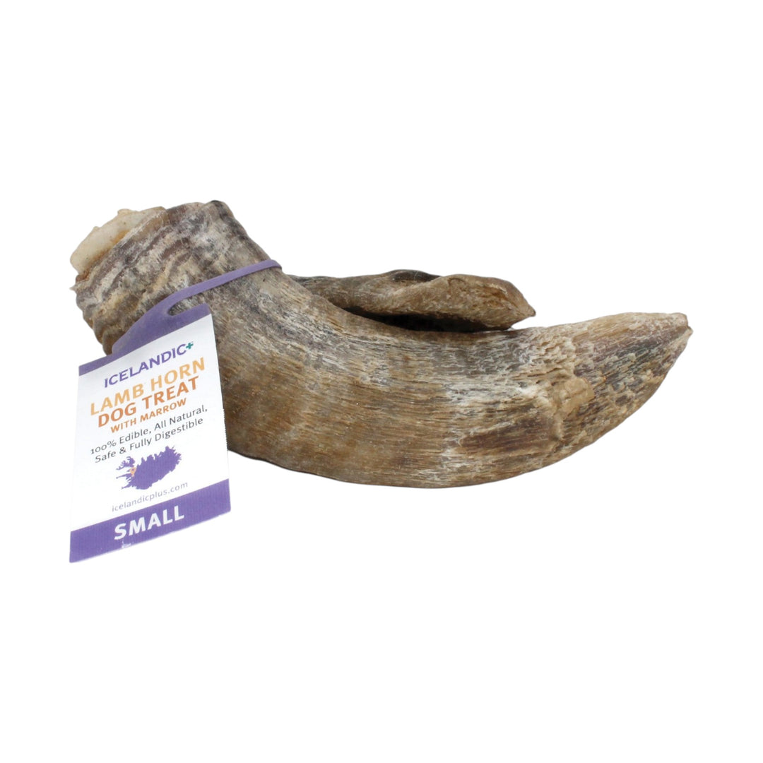 Icelandic Lamb Horn With Marrow Small