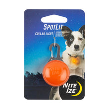 Nite Ize SpotLit LED Collar Light for Pets - Orange