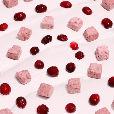 Wagging Bum ANYTIME YOGURT! Freeze-dried Yogurt with Cranberry - Tail Blazers Etobicoke