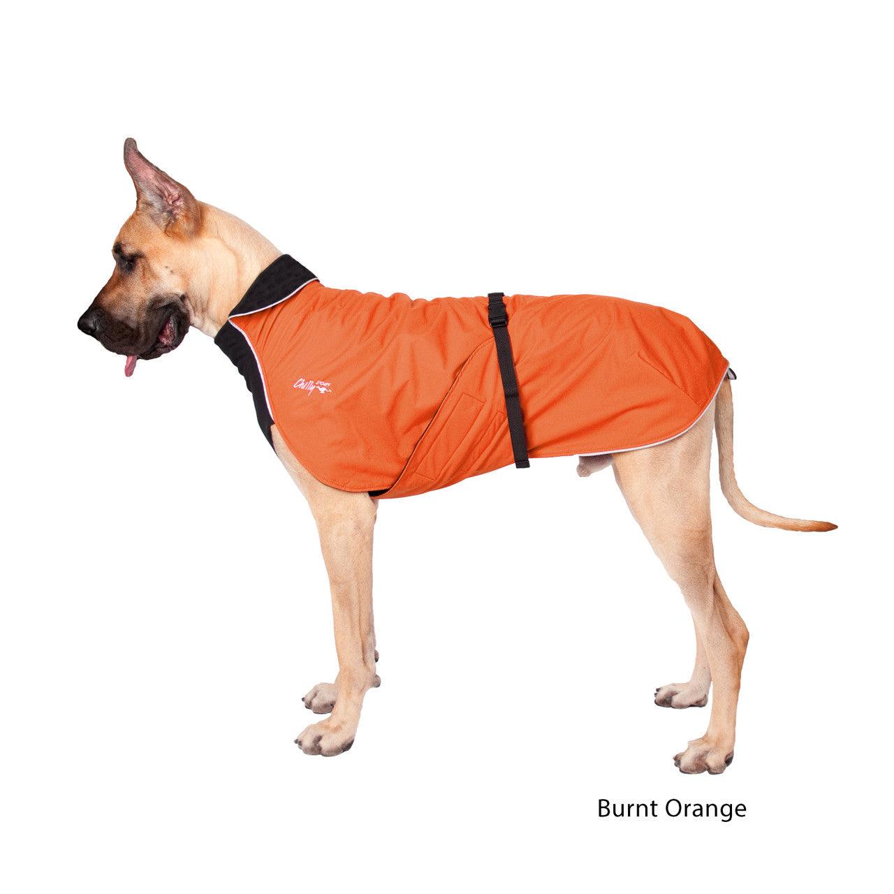 CHILLY DOGS ALPINE BLAZER 21" - Tail Blazers Etobicoke