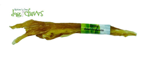 NATURE'S OWN DENTAL TENDONS LG 6-9"