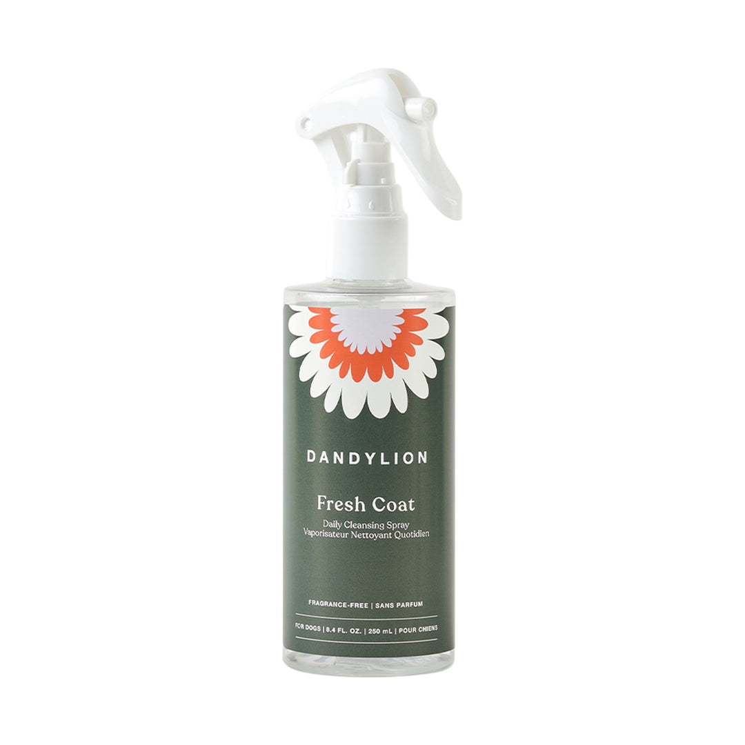 DANDYLION FRESH COAT CLEANSE SPRY 250ML
