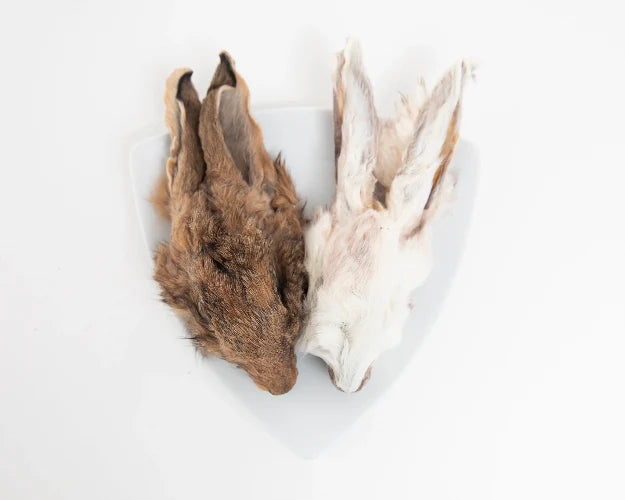 Grand Valley Dehydrated Rabbit Heads (With Fur)