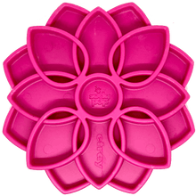 SODAPUP E-TRAY MANDALA 8" - Tail Blazers Etobicoke