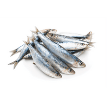 IRON WILL RAW SARDINES 1LB - Tail Blazers Etobicoke
