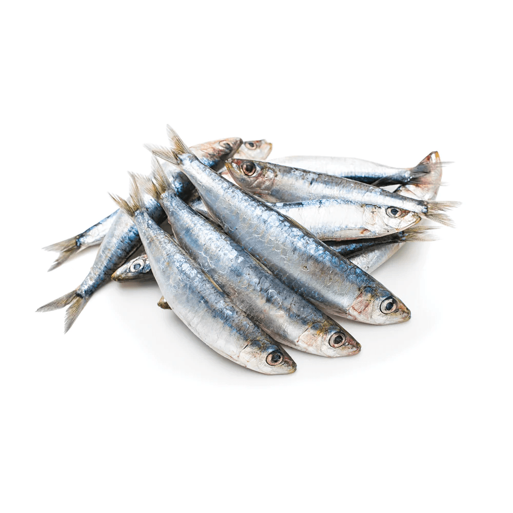 IRON WILL RAW SARDINES 1LB - Tail Blazers Etobicoke