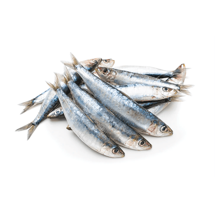 IRON WILL RAW SARDINES 1LB - Tail Blazers Etobicoke