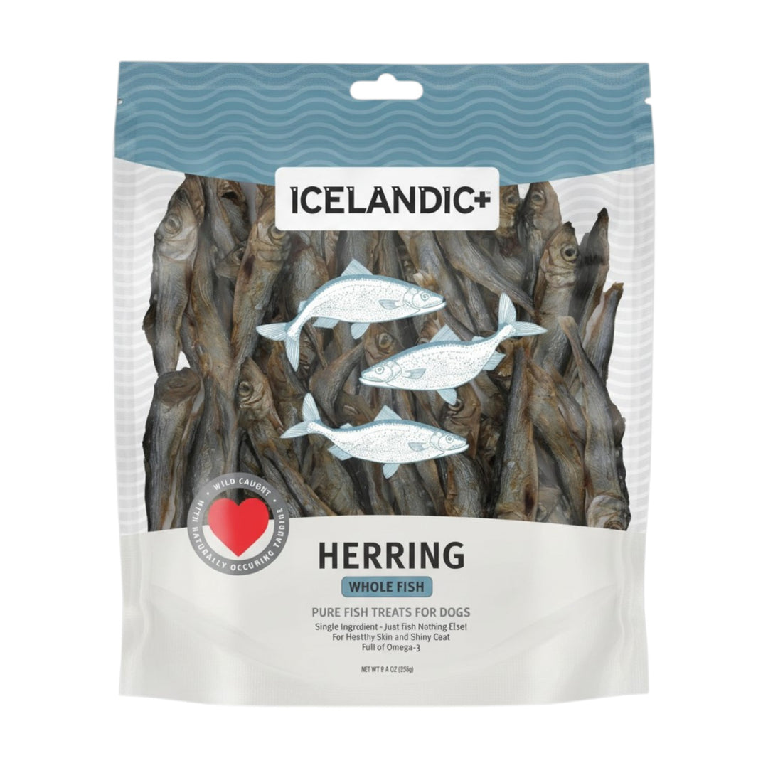 Icelandic Herring Whole Dog (9oz)