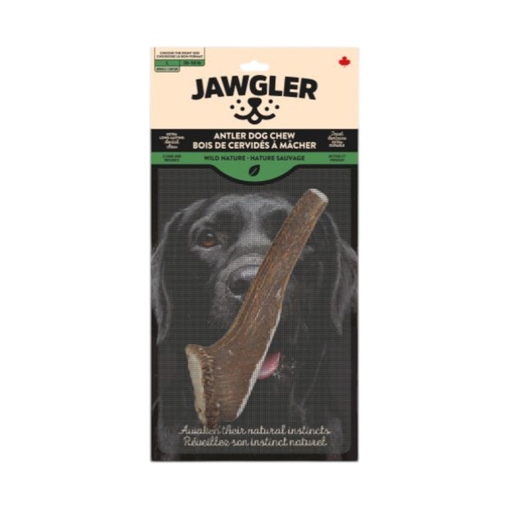 Jawgler Antler Dog Chew, Whole Wild Nature, Large 1pc