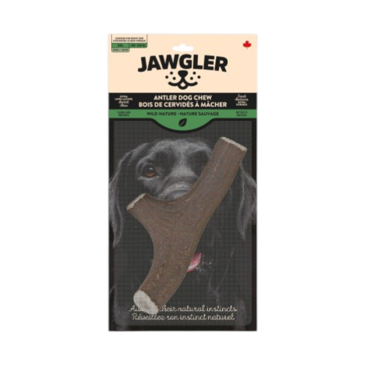 Jawgler Antler Dog Chew, Whole Wild Nature, XX - Large 1pc