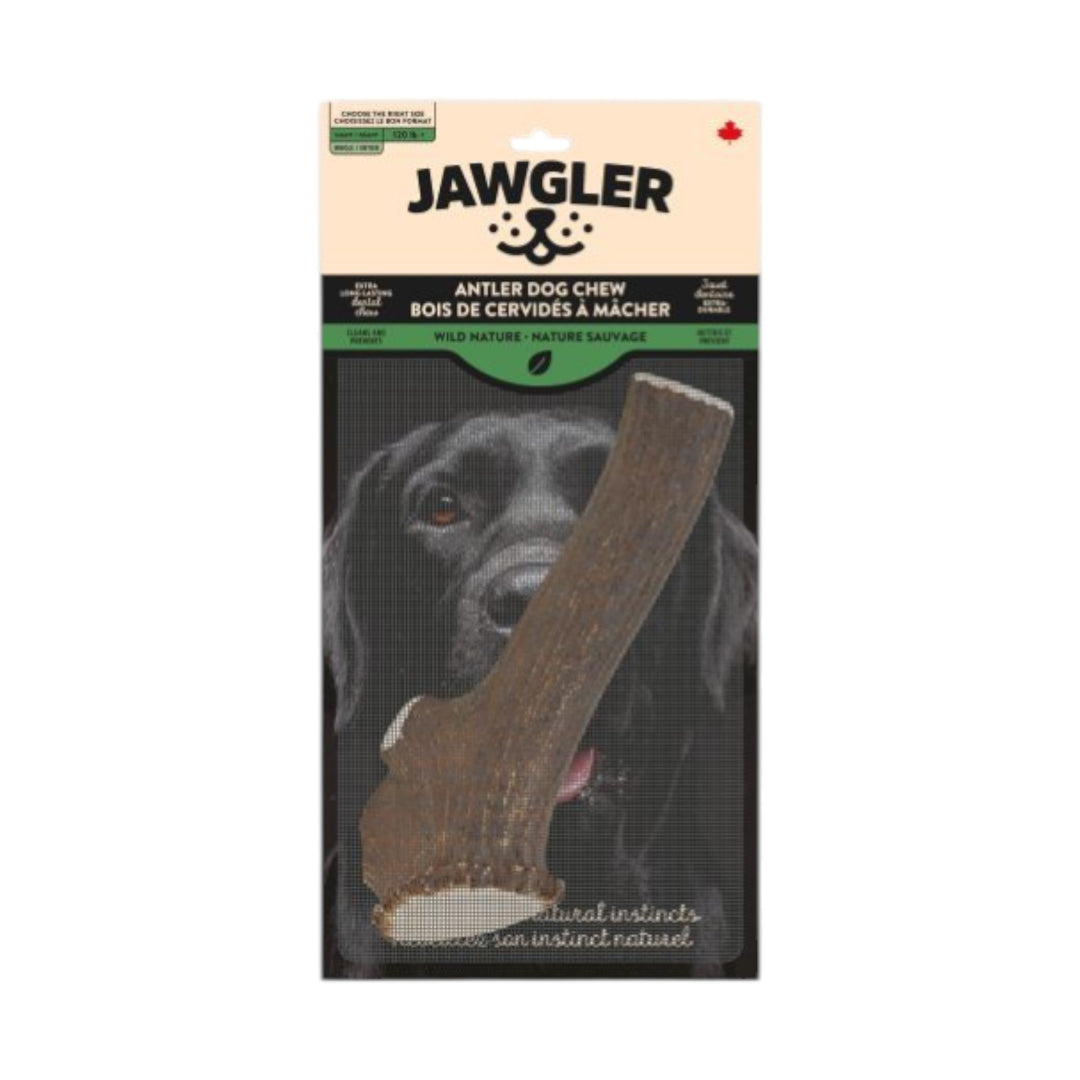 Jawgler Antler Dog Chew, Whole Wild Nature, Giant 1pc