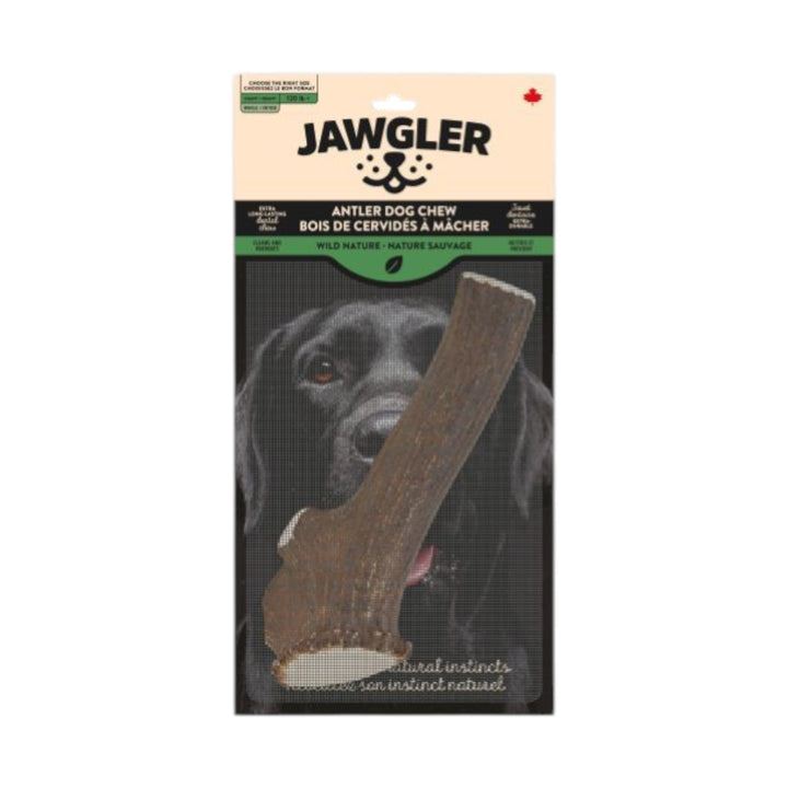 Jawgler Antler Dog Chew, Whole Wild Nature, Giant 1pc