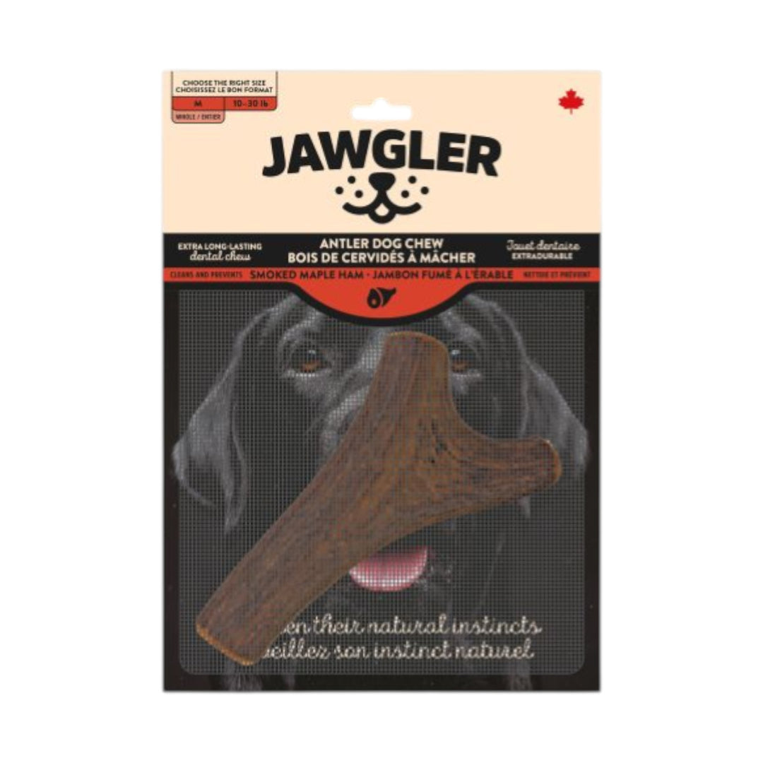 Jawgler Antler Dog Chew, Whole Smoked Ham, Med 1pc