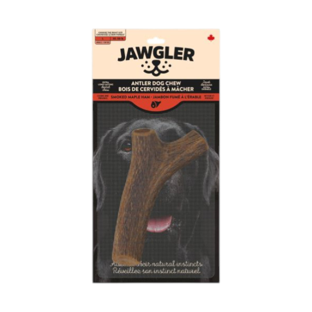 Jawgler Antler Dog Chew, Whole Smoked Ham, Large 1pc
